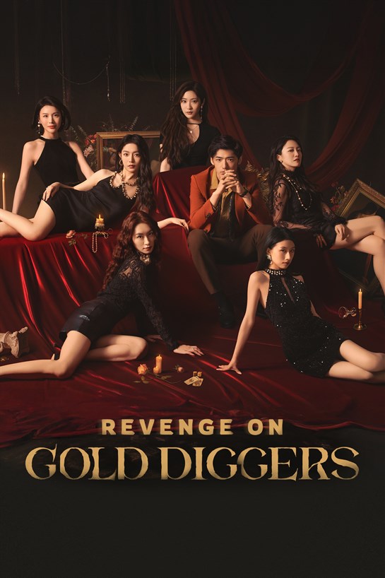 Box shot of Revenge On Gold Diggers
