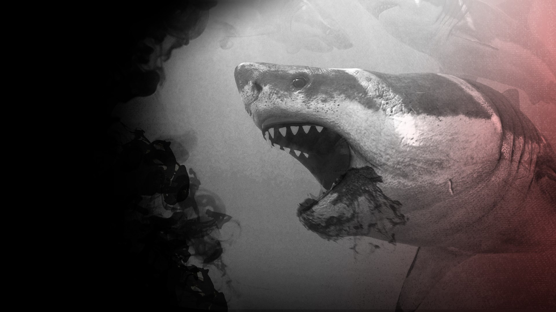 Buy Death in the Water Microsoft Store