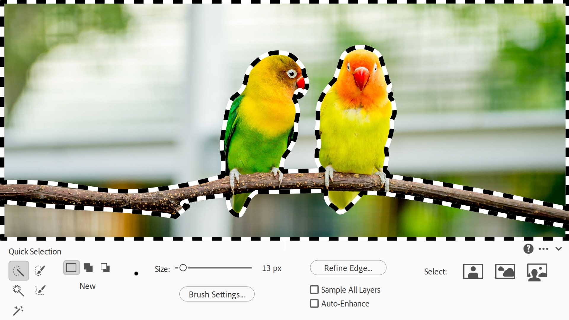 Download Adobe Photoshop Elements 2025 With Crack (Latest Version) 3