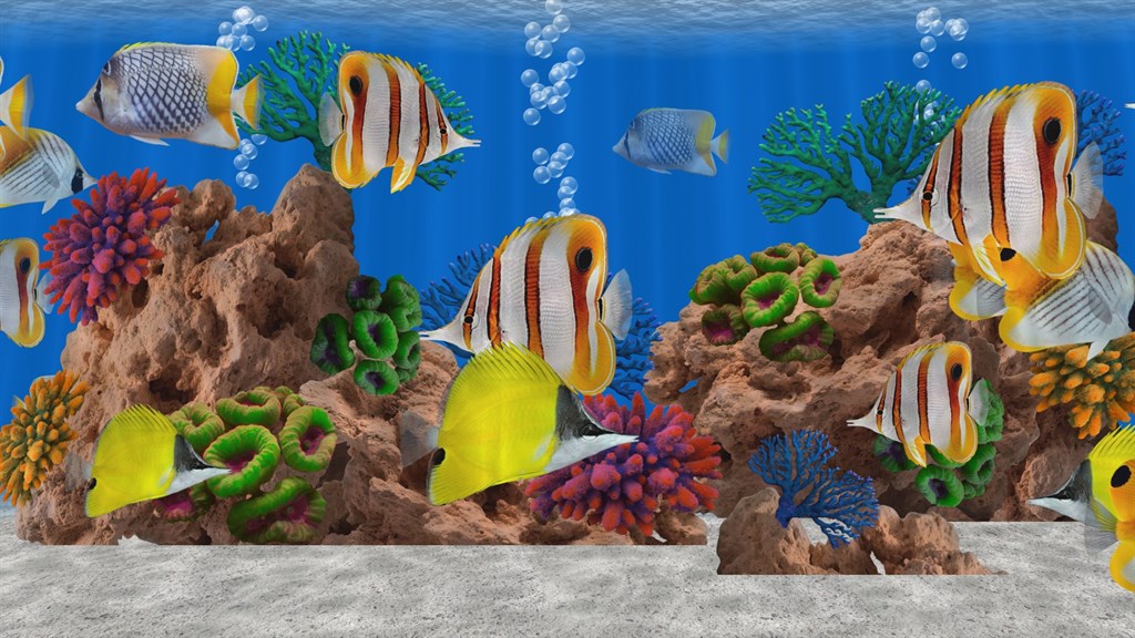 Butterfly Fish Aquarium TV 4k Saltwater Coral Reef — Приложения Майкрософт