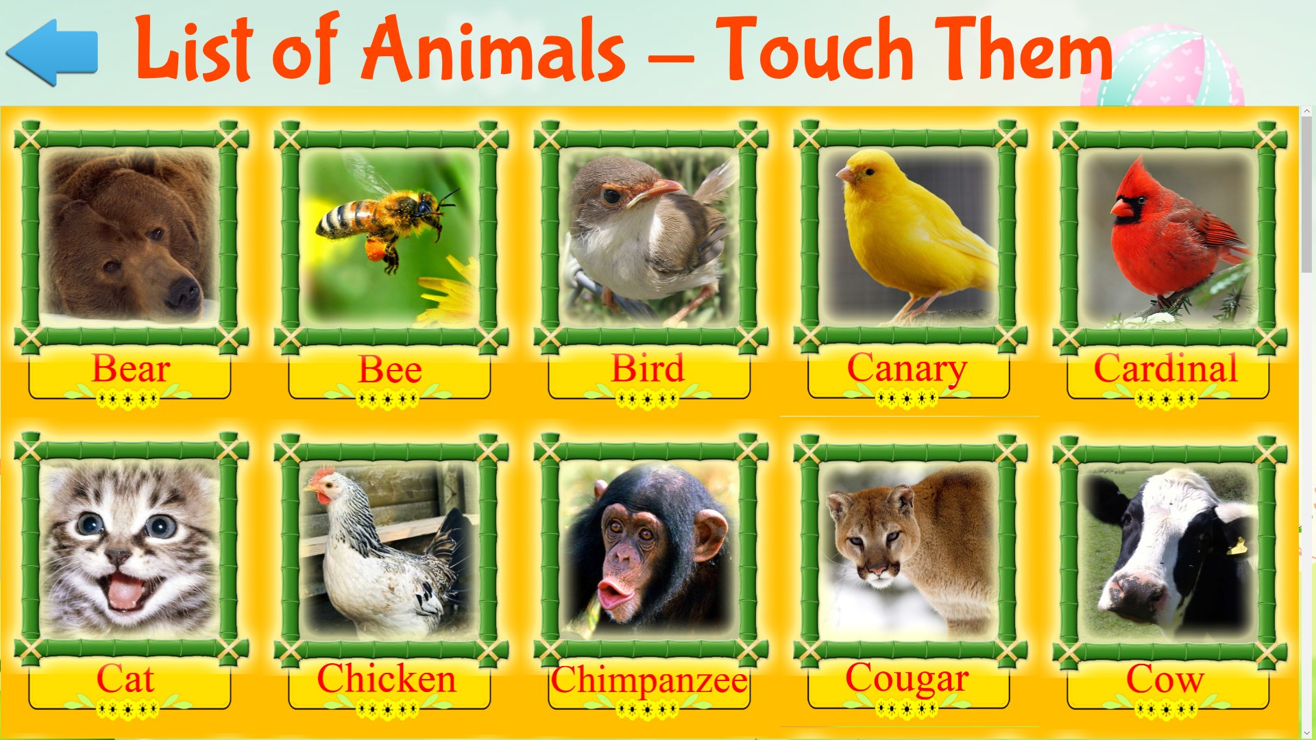 Touch animals. Animals list.