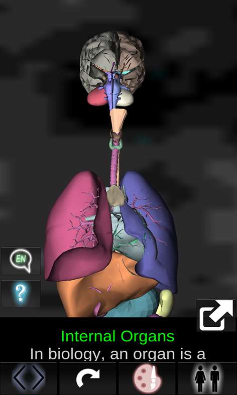 Organs 3D (Anatomy) Screenshots 1