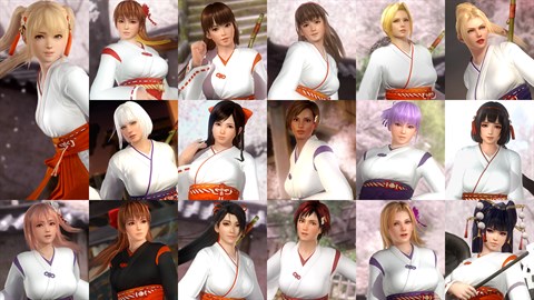 DOA5LR Shrine Maiden Costume Set