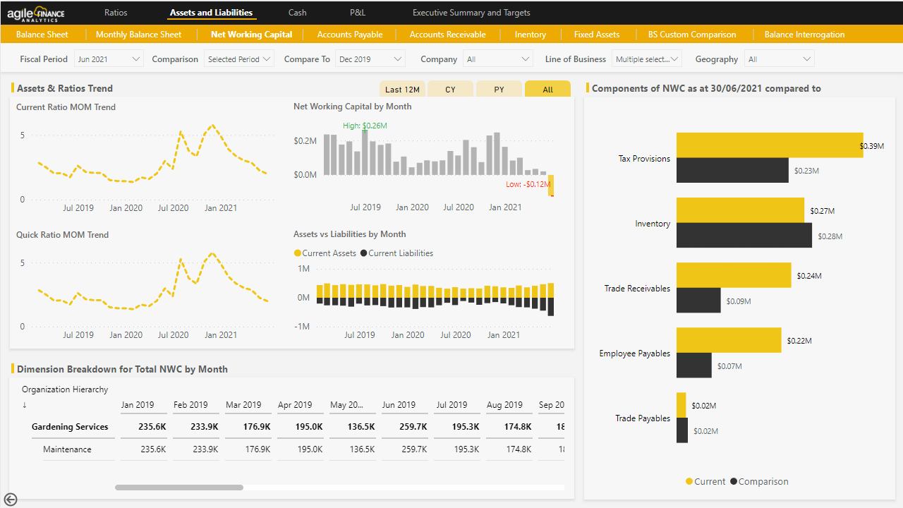 Snapshot 6 of Agile Finance Analytics - Power BI Dashboards