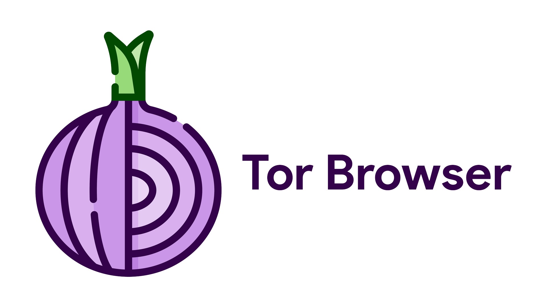 tor browser anonymous
