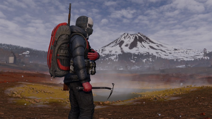Full Size Image