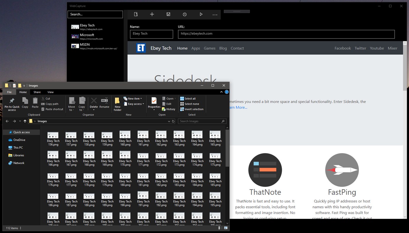 #4. WebCapture (Windows) От: Ebey Tech LLC