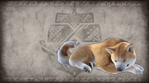 Многослойные доспехи для Паламута "Костюм верного пса"