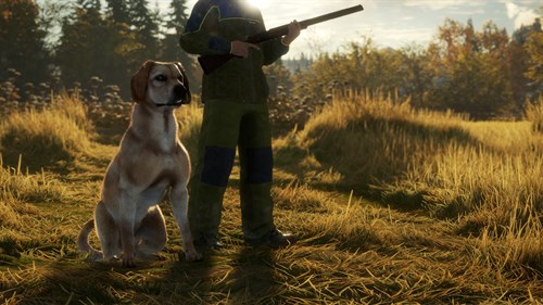 theHunter: Call of the Wild™ - Labrador Retriever