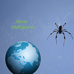 Spider Intelligence