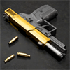 iGun Pro