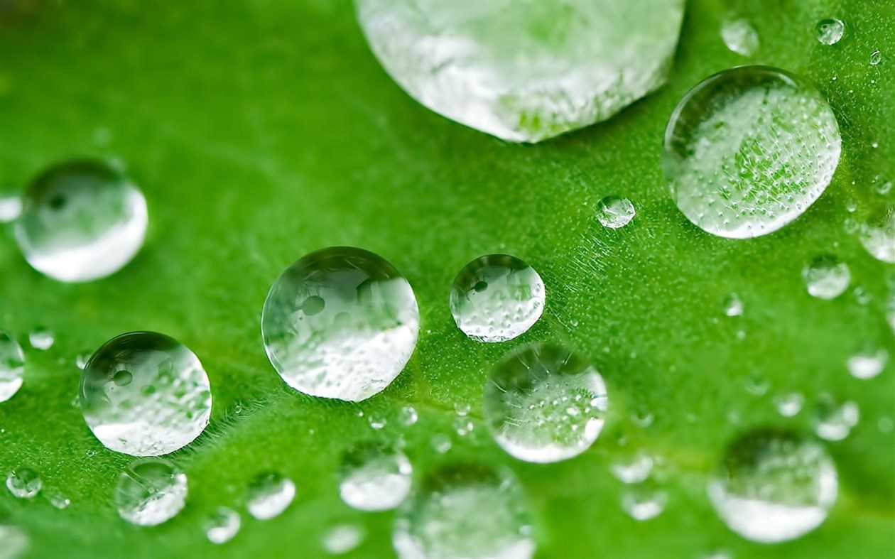 #2. Nature by Mike Swanson (Windows) Podle: Microsoft Corporation