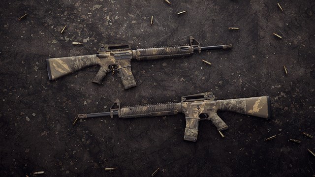 Insurgency: Sandstorm - Endurance Weapon Skin Set screenshot 4