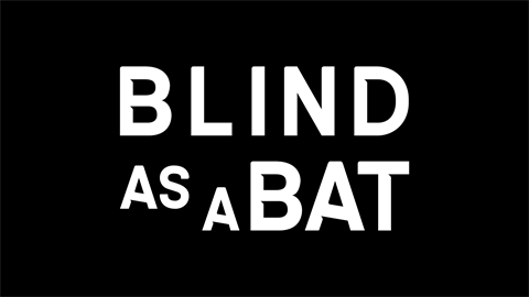 Blind as a Bat