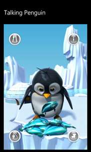Talking Penguin screenshot 2