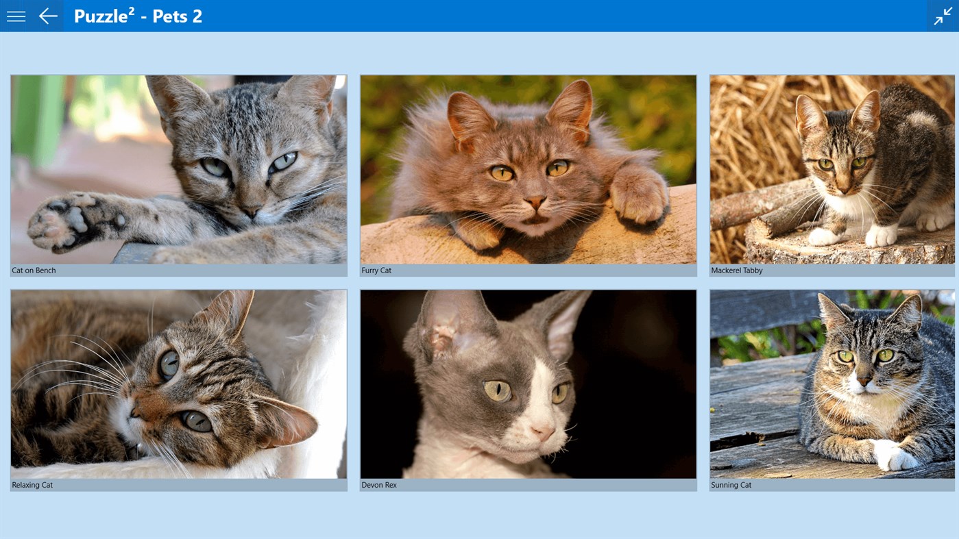 #2. Puzzle² - Pets 2 (Windows) 来自: fonaps.com