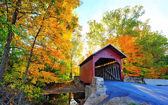 Bridges in Autumn screenshot
