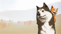 Animal Shelter 2