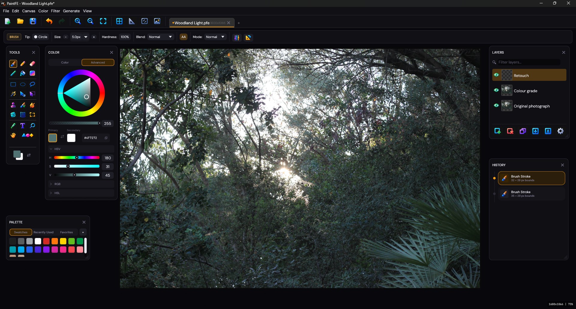 PaintFE screenshot