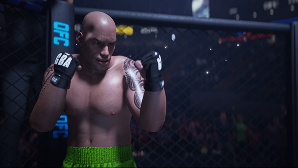 Ultimate Fighting Club — 13