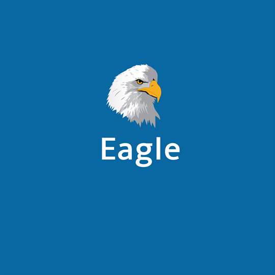 The Eagle screenshot 1