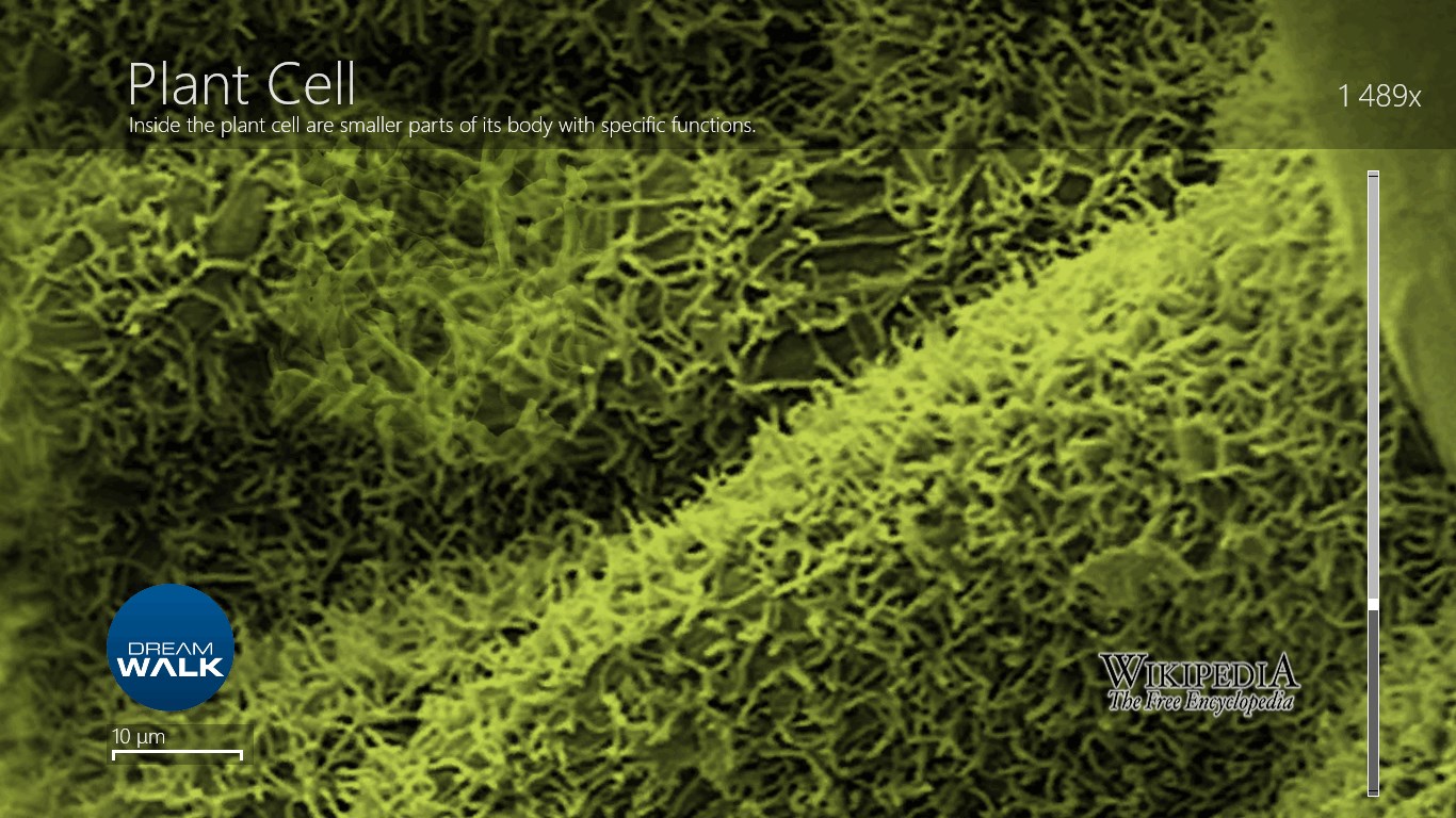 Another sample of zoom page