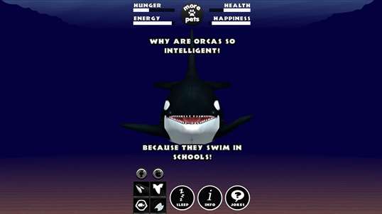 Virtual Pet Orca - The Killer Whale screenshot 4