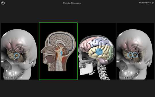 Anatomy Quiz Pro screenshot 6