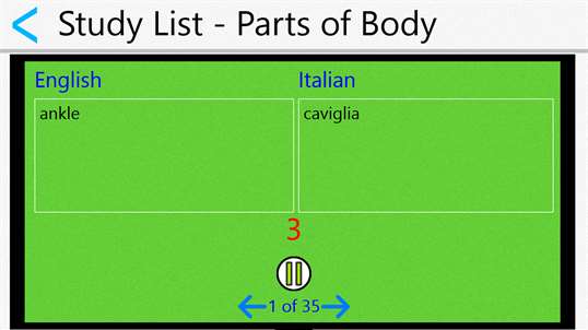 Quick and Easy Italian Lessons screenshot 7