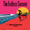 The Endless Summer Surfing Challenge