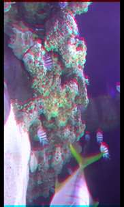 Aquarium Videos 3D screenshot 3