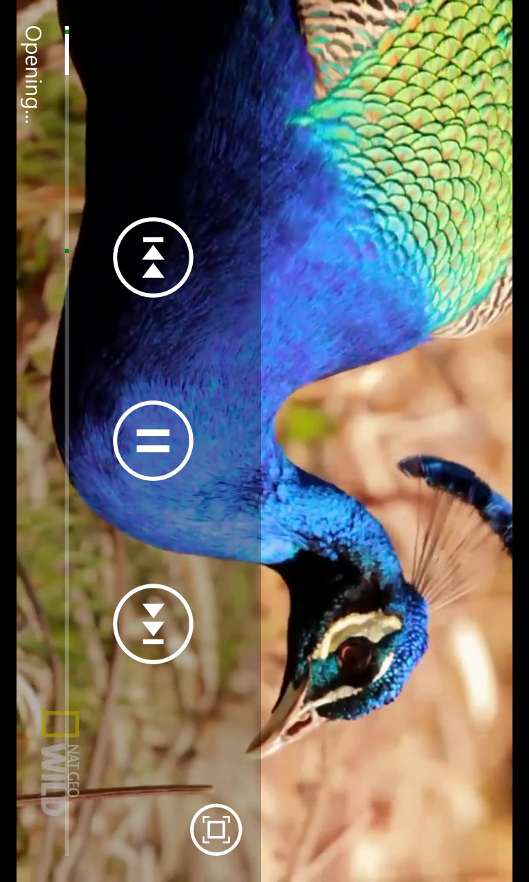 Kodi universaljnogo puljta mac 2008