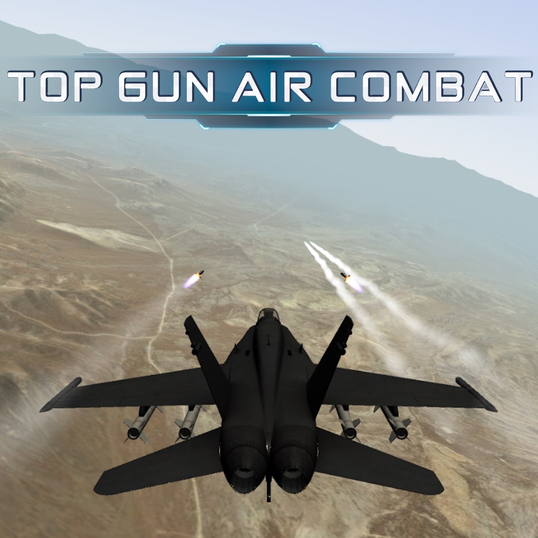 Art for Top Gun Air Combat