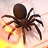 Kill It With Fire: Exterminator Edition