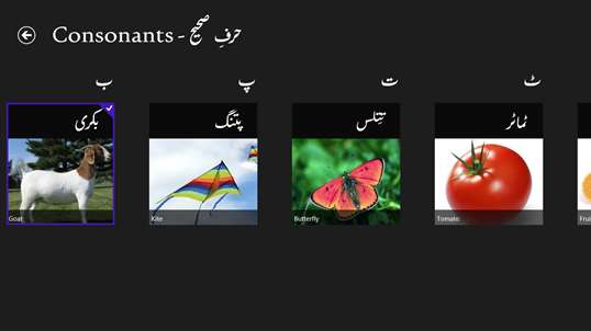 Learn Urdu screenshot 3
