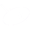 IPTV+