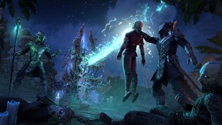 The Elder Scrolls Online: Deluxe Edition screenshot 5