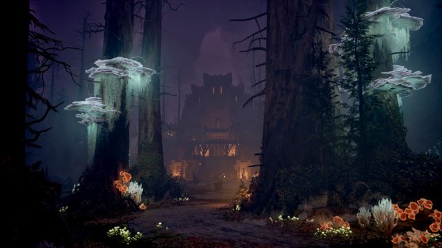 Avowed Standard Edition screenshot 9