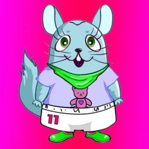 Chinchilla Dress Up Game icon