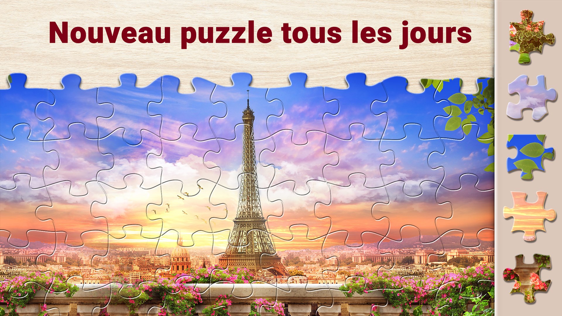 Jeu 1001 Jigsaw - 6 Éléments Magiques - Version PC Windows - Garantie à Vie