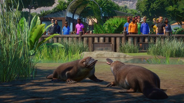 Planet Zoo: Deluxe Upgrade Pack screenshot 4