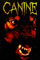 Canine