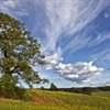 Latvian Landscapes