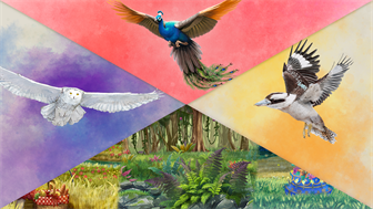 European + Oceania + Asia + Decorative Packs