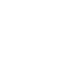 Djembe