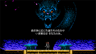 サイバーシャドウ 限定版（Cyber Shadow D Edition） Deluxe Edition] DE#4: Cyber Shadow (Switch) – Super Rare Games