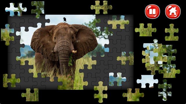 Elephant Jigsaw Puzzles screenshot 4
