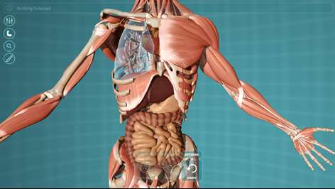 Visual Anatomy - Human Body Screenshots 2