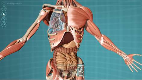 Visual Anatomy - Human Body Screenshots 2