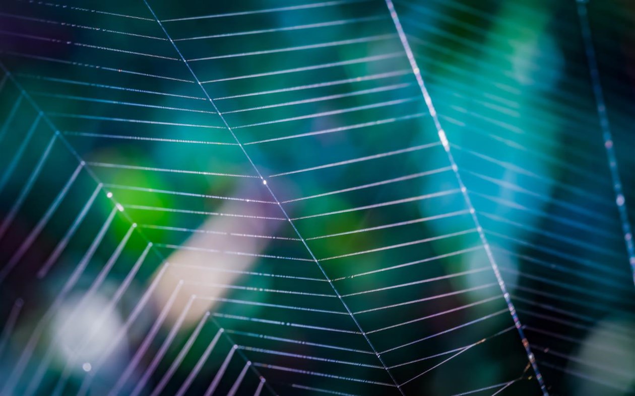 #3. Cobwebs (Windows) 由: Microsoft Corporation